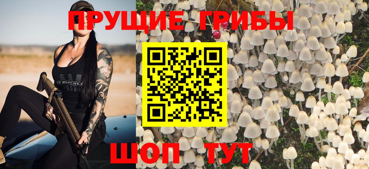 Галлюциногенные грибы GOLDEN TEACHER  Галлюциногенные грибы Cubensis  где можно купить наркотик  Вход с VPN  Морозовск 