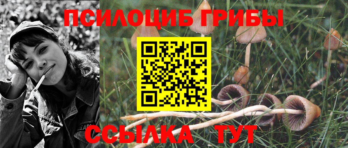 Псилоцибиновые грибы MAGIC MUSHROOMS Морозовск